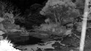 Still 2 from this detection