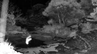 Still 1 from this detection