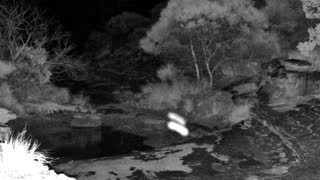 Still 2 from this detection