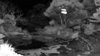 Still 2 from this detection
