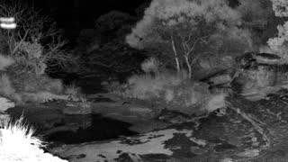 Still 1 from this detection