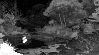 Still 2 from this detection