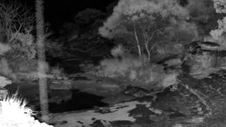 Still 1 from this detection