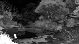 Still 1 from this detection