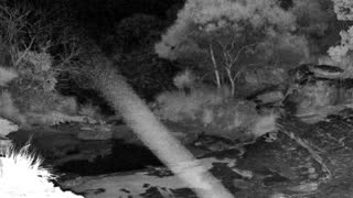 Still 2 from this detection