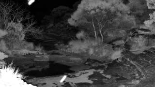 Still 1 from this detection