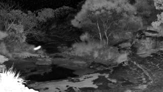 Still 1 from this detection