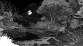 Still 1 from this detection
