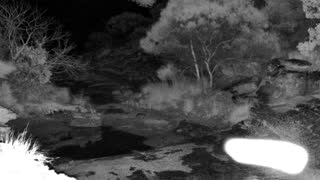 Still 1 from this detection