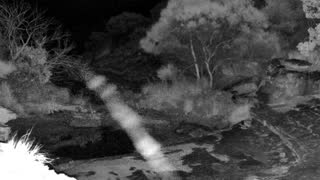 Still 2 from this detection
