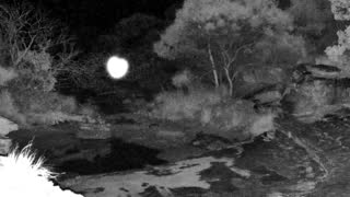 Still 3 from this detection