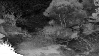 Still 1 from this detection