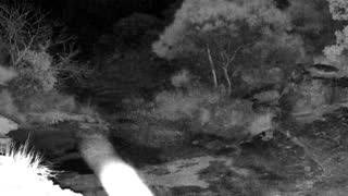 Still 2 from this detection