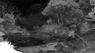 Still 3 from this detection
