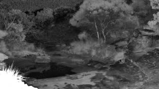 Still 2 from this detection