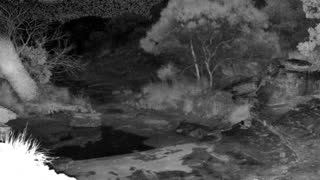 Still 3 from this detection