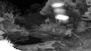 Still 2 from this detection