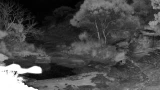Still 2 from this detection