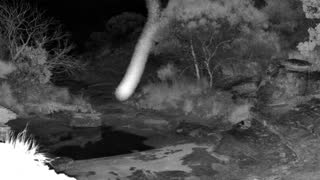 Still 2 from this detection