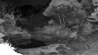 Still 2 from this detection
