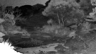 Still 1 from this detection