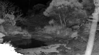 Still 2 from this detection
