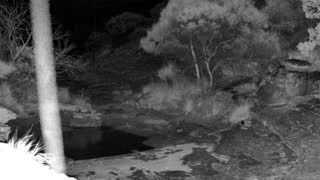 Still 2 from this detection