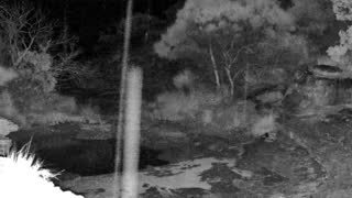 Still 1 from this detection