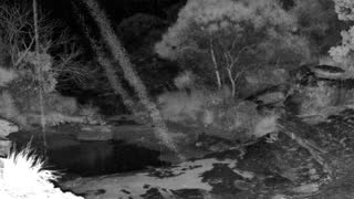 Still 2 from this detection