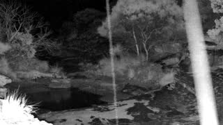 Still 2 from this detection
