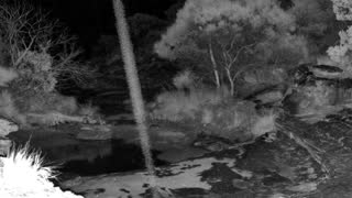 Still 1 from this detection