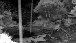 Still 2 from this detection