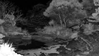 Still 1 from this detection