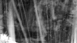 Still 1 from this detection