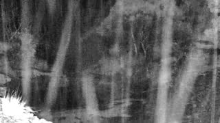 Still 2 from this detection
