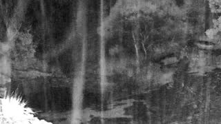 Still 3 from this detection