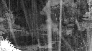 Still 1 from this detection