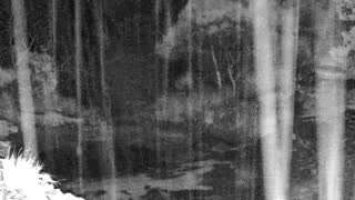 Still 3 from this detection