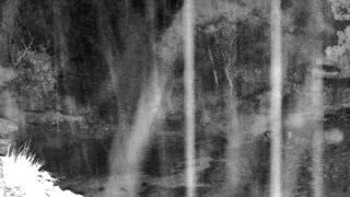 Still 1 from this detection