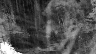 Still 2 from this detection