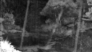 Still 1 from this detection