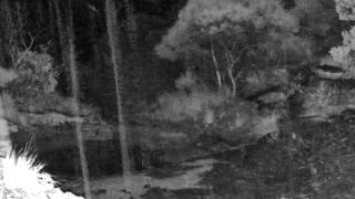 Still 2 from this detection