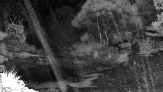 Still 3 from this detection