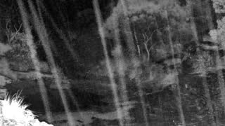 Still 1 from this detection