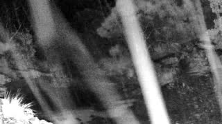 Still 2 from this detection