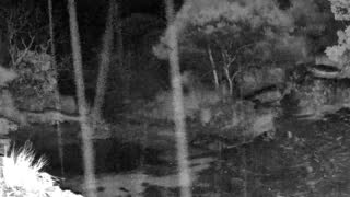 Still 3 from this detection