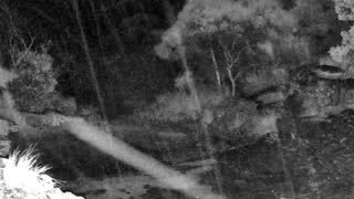 Still 3 from this detection