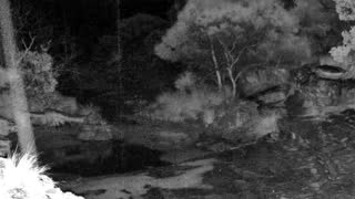 Still 1 from this detection