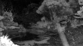 Still 3 from this detection
