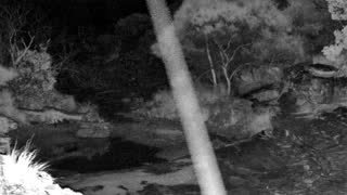 Still 3 from this detection